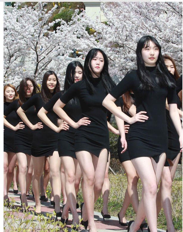 韩模特樱花树下上课与花比美